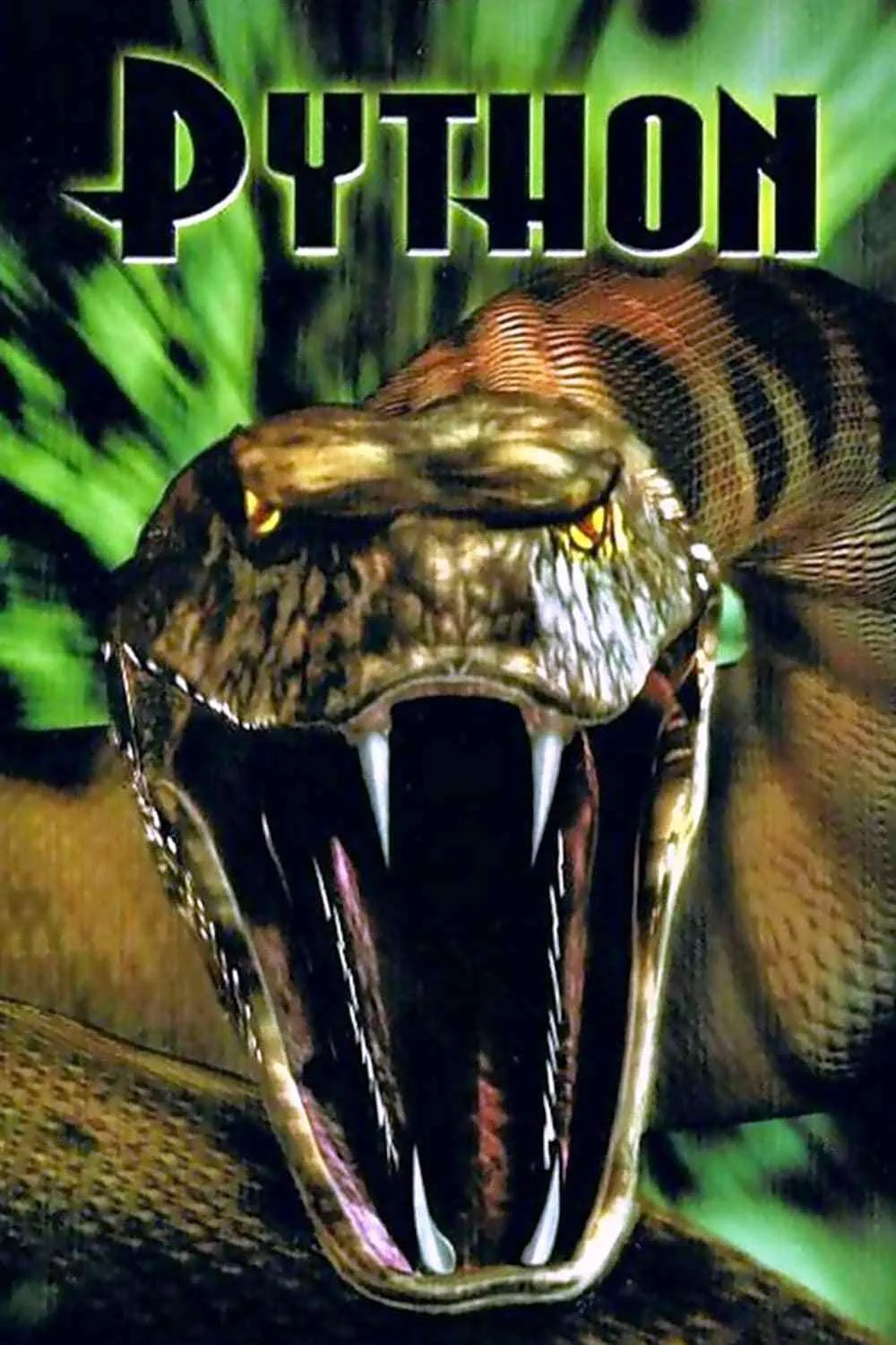 The Phyton